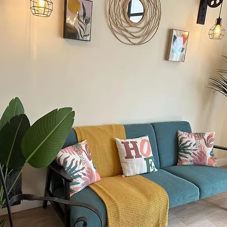 דירה Spacious Duplex Near The Center Of קאן