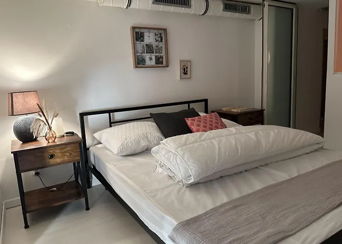 Spacious Duplex Near The Center Of 아파트 칸느